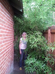 Me in bamboo